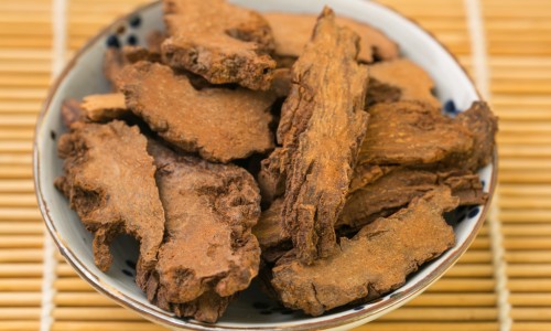 6个月球蟒多长网-分享球蟒能多重，球蟒有牙齿吗知识库