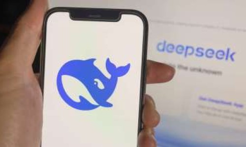 6个月球蟒多长网-分享球蟒能多重，球蟒有牙齿吗知识库