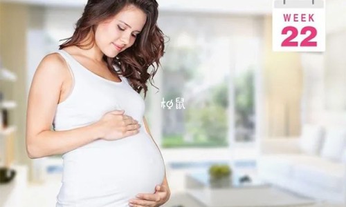 6个月球蟒多长网-分享球蟒能多重，球蟒有牙齿吗知识库